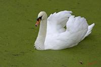 Cjp_2009_10_29_153837 (1).jpg